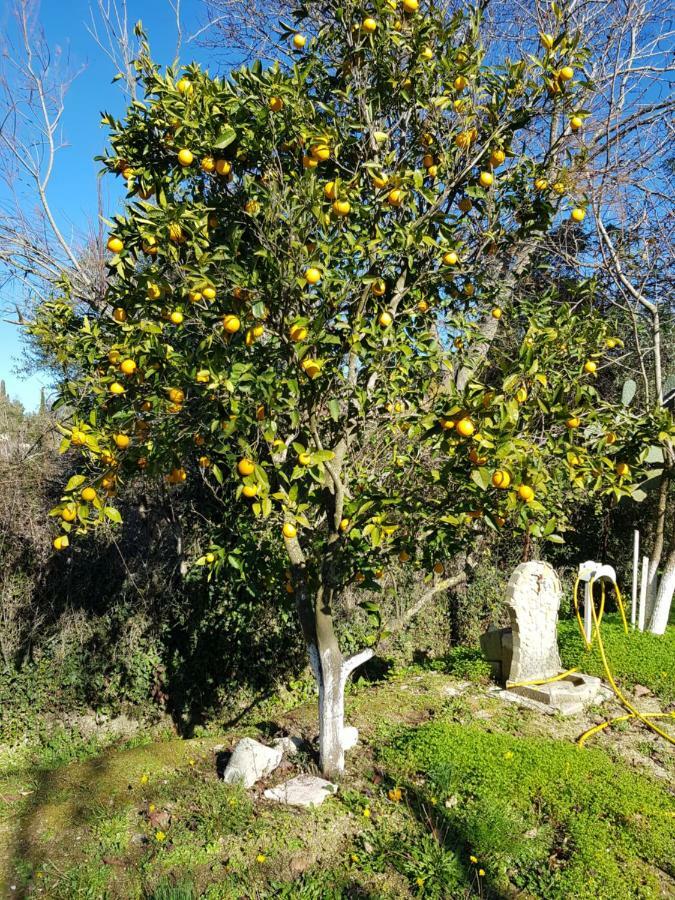 Archontou Hébergement de vacances Agios Georgios Pagon